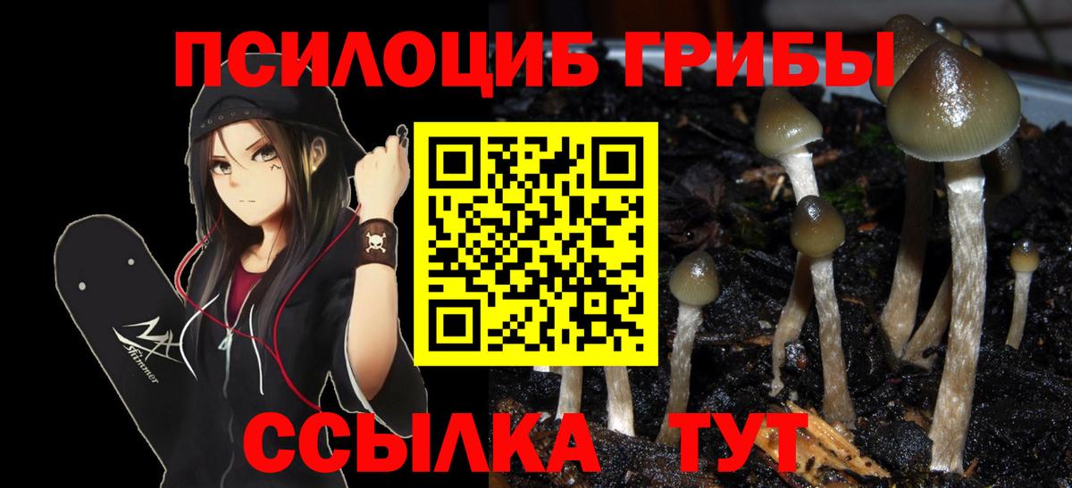 Псилоцибиновые грибы Cubensis Когалым