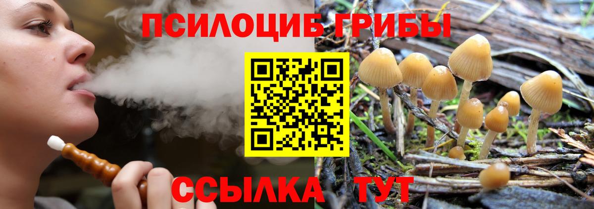 Псилоцибиновые грибы Magic Shrooms  Вход с VPN  Когалым  Галлюциногенные грибы Psilocybe 